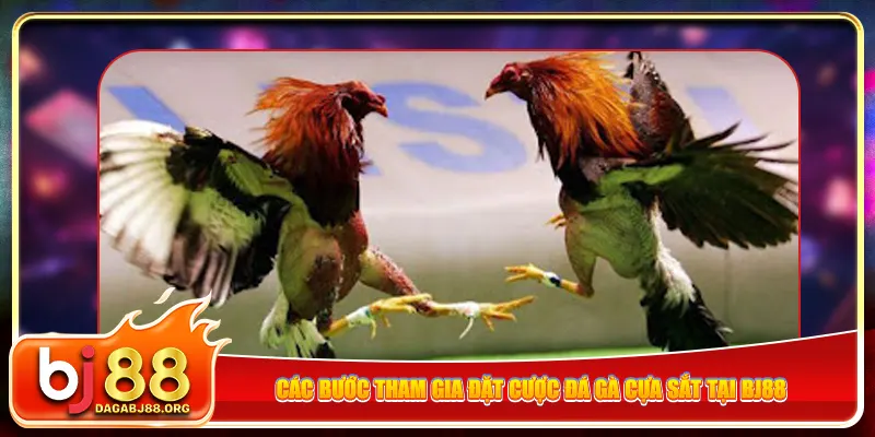 Các bước tham gia đặt cược đá gà cựa sắt tại bj88