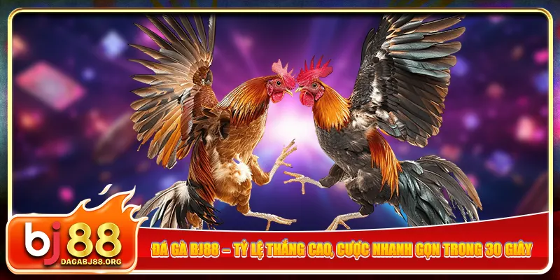 BJ88 Đá Gà Thỏa Sức Đam Mê - Khám Phá Thế Giới Giải Trí Trực Tuyến