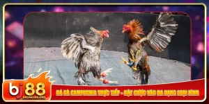 da-ga-campuchia-truc-tiep-dat-cuoc-vao-da-dang-loai-hinh-