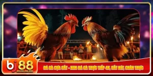 da-ga-cua-sat-xem-da-ga-truc-tiep-4k-sat-net-chan-thuc