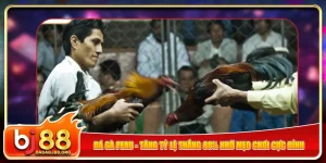 da-ga-peru-tang-ty-le-thang-80-nho-meo-choi-cuc-dinh