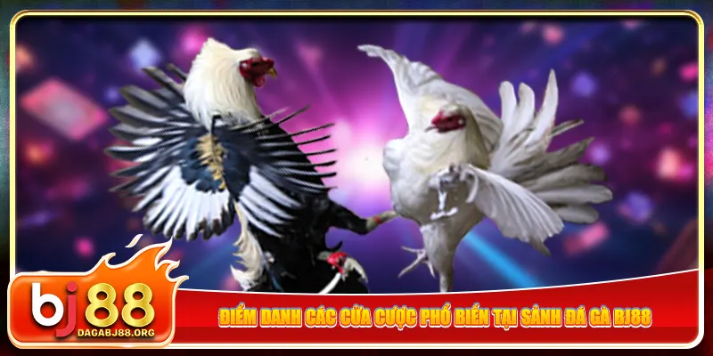 Khám Phá Trải Nghiệm Đỉnh Cao Với Các Dịch Vụ Tại AE388
