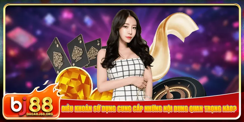 Điều khoản sử dụng cung cấp những nội dung quan trọng nào?