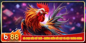 ga-choi-hac-ho-thoi-nhung-diem-noi-bat-va-dac-trung-rieng