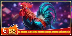 ga-ngu-sac-la-gi-kham-pha-linh-ke-duoc-san-don-nhat-san-dau
