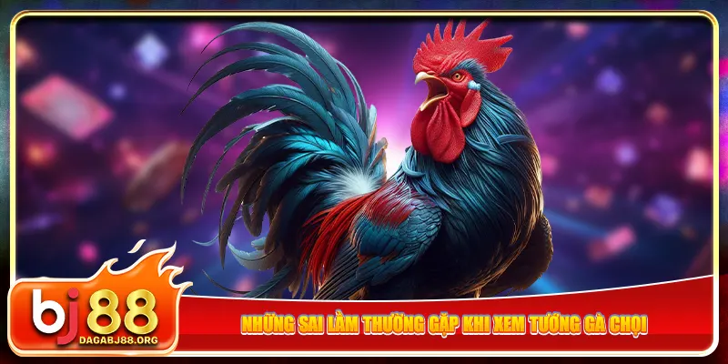 Những sai lầm thường gặp khi xem tướng gà chọi