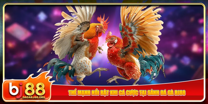 Thế mạnh nổi bật khi cá cược tại sảnh đá gà bj88