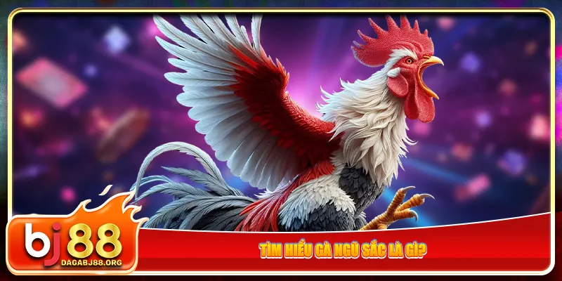 Tìm hiểu gà ngũ sắc là gì?