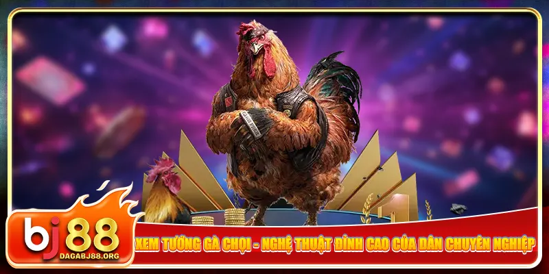 Xem tướng gà chọi - Nghệ thuật đỉnh cao của dân chuyên nghiệp