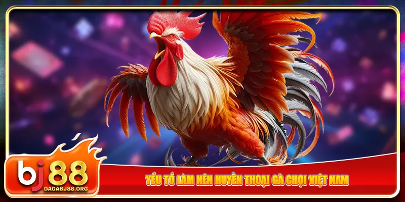 Yếu tố làm nên huyền thoại gà chọi Việt Nam