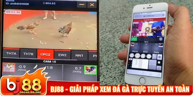 Bj88 - Giải pháp xem đá gà trực tuyến an toàn và tiện lợi