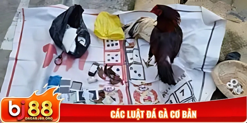 Các luật đá gà cơ bản