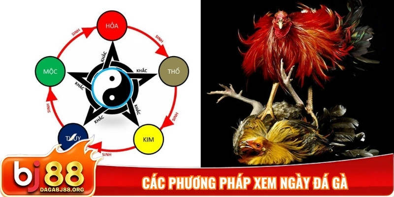 Các phương pháp xem ngày đá gà
