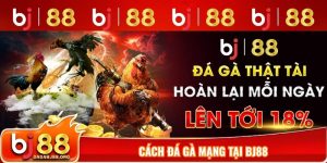 Cách đá gà mạng tại bj88