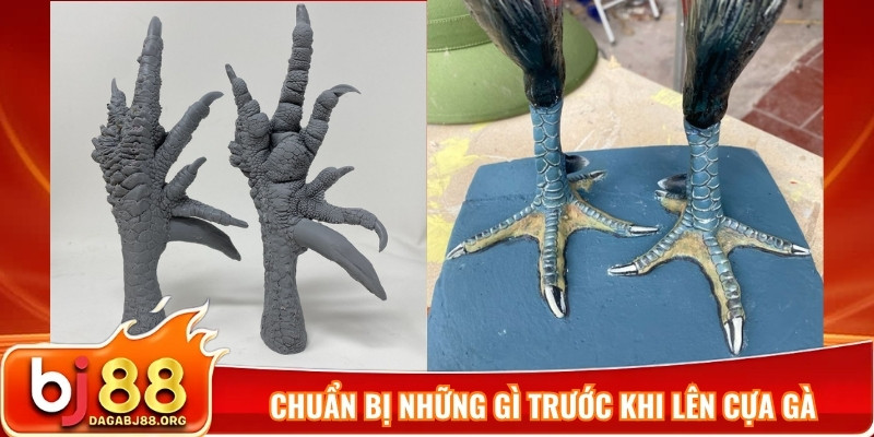 Chuẩn bị những gì trước khi lên cựa gà