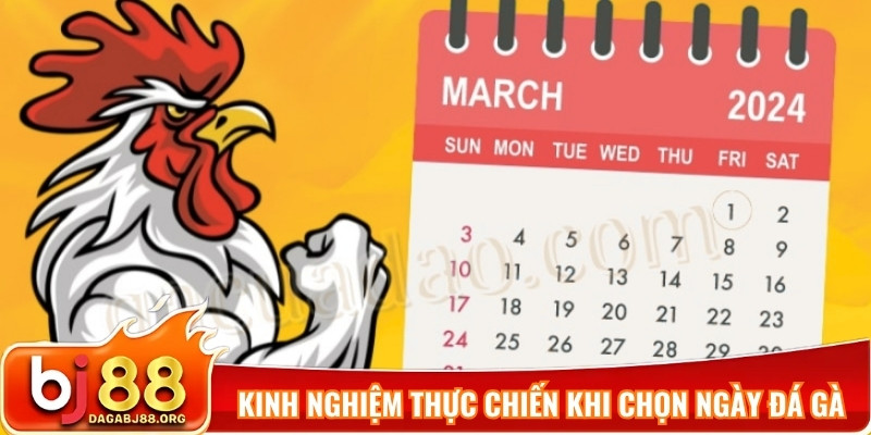 Kinh nghiệm thực chiến khi chọn ngày đá gà