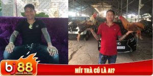Mít Trà Cú là ai