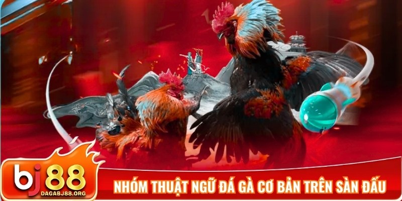 Nhóm thuật ngữ đá gà cơ bản trên sàn đấu