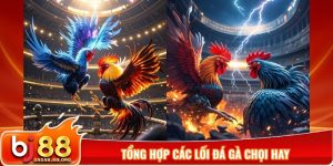 Tổng hợp các lối đá gà chọi hay