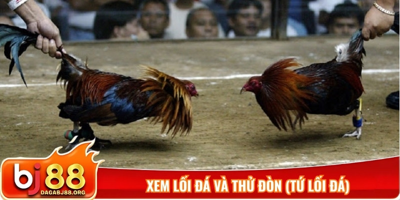 Xem lối đá và thử đòn (Tứ lối đá)