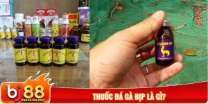 Thuốc đá gà bịp là gì