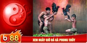 Xem ngày giờ đá gà phong thủy